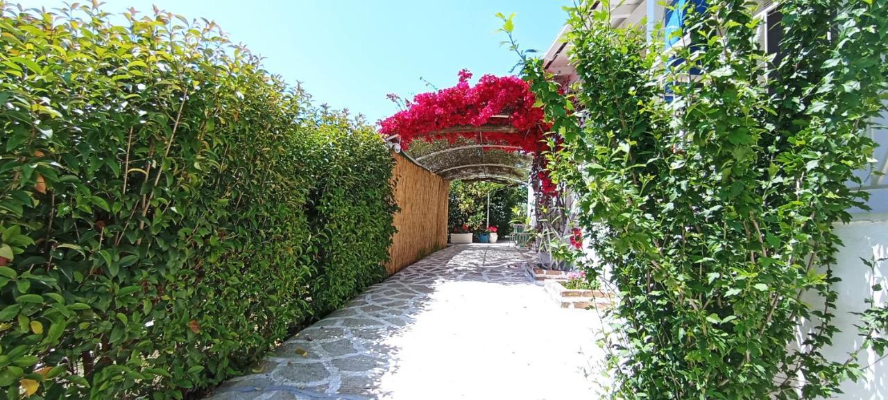 Apartament Summer House In Corfu Town *